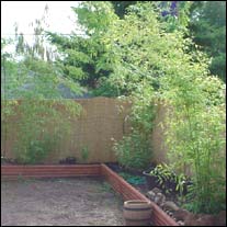 Sparse, but there. At least the bamboo garden was finally in place.